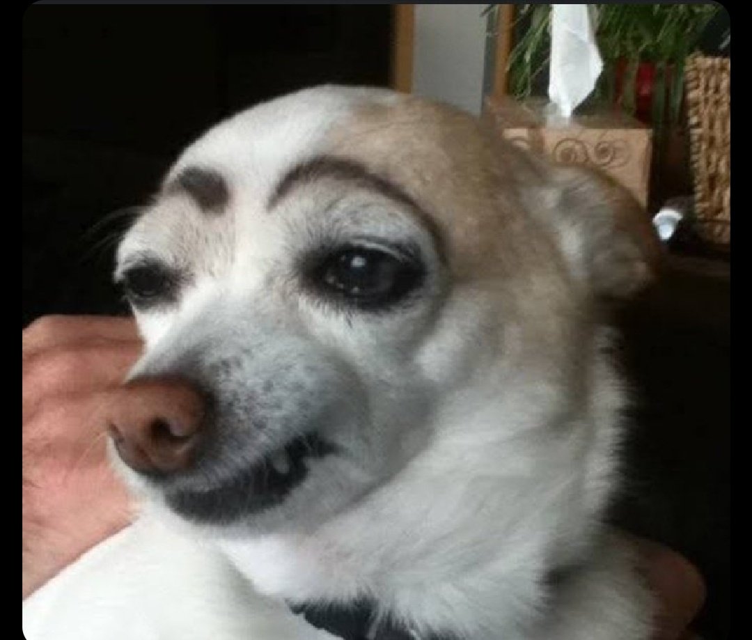 #BBTitans2023 

Blue Mtaka bawo.... ozothini ngoku