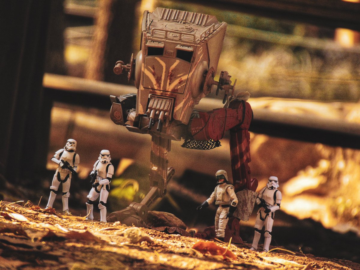 Patrolling the area 🌿🍂 I hope you like it friends 🤜🤛
#TheMandalorian #starwarstoys #stormtroopers #118af #Thevintagecollection #swtvc #toyphotography #hasbrotoypic #toyoutsiders