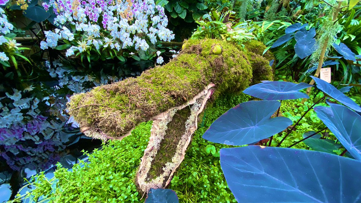 RPOQuinlog's tweet photo. @kewgardens Here are some of the animals featured in the festival. https://t.co/xMWCz1XHTW