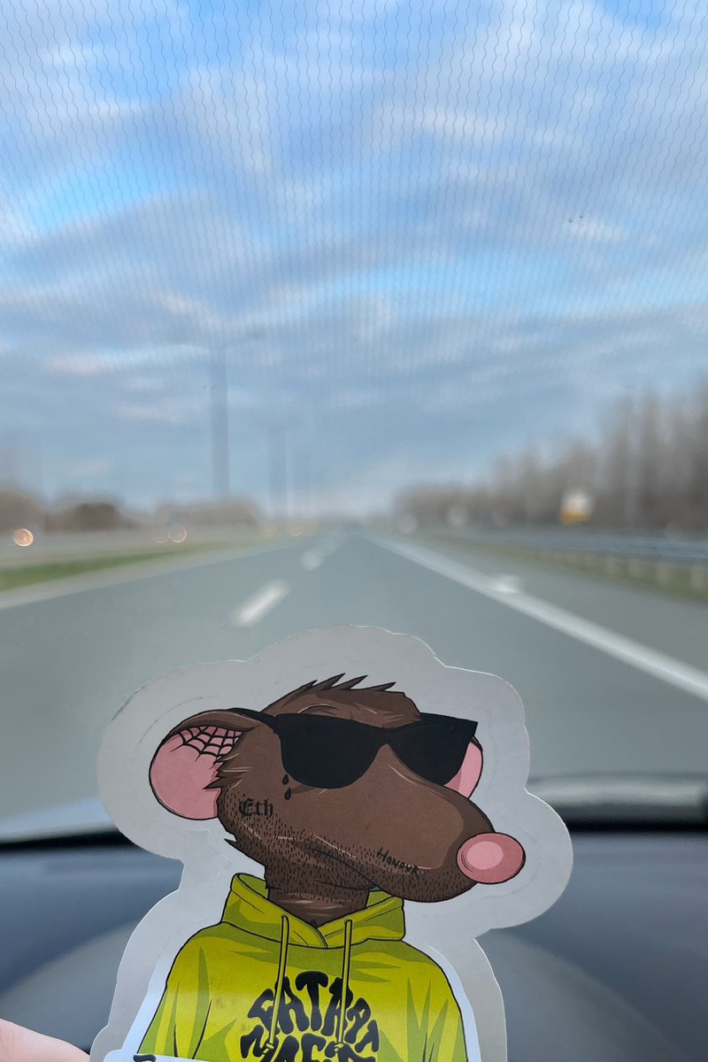 pixelencija's tweet image. Day 5 of #FRMsaycheese photo hunt! #dailytopic “Touch grass” - this mafioso caught driving surrounded by different scenery. ☀️

#FatRatMafia #FatRatFam #NFTCommunity @matlack @FatElrato23