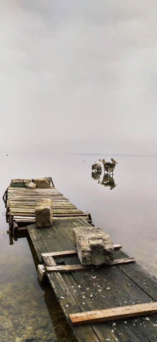 Büyük konuşmalarımızın karşılığı olan olaylar ve insanlar vardır.
Hayat yaşanmış bir filmin tekrarı gibi...