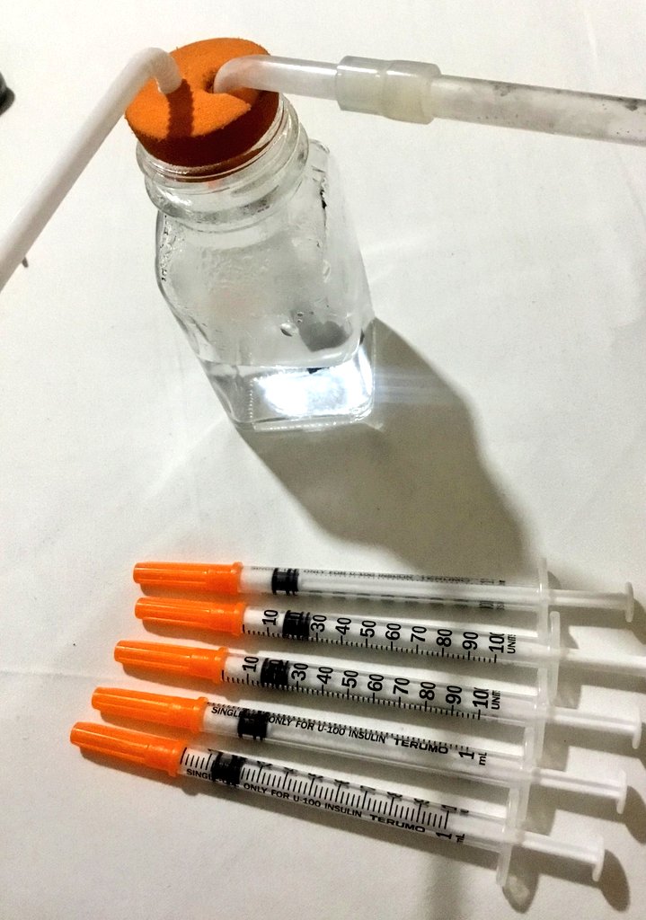 บินกันไหม