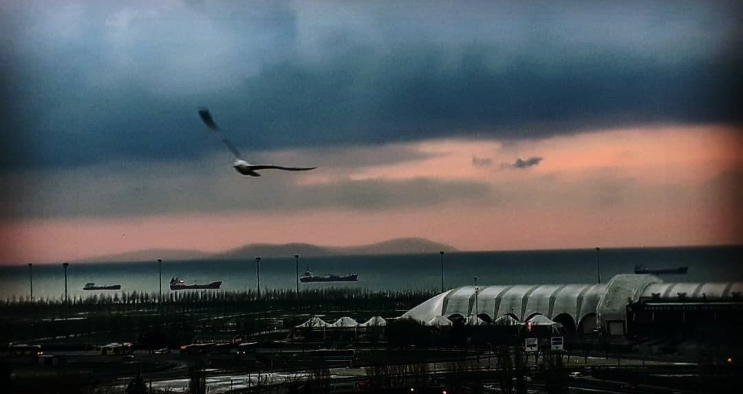 Eğitim ve sağlık hizmetlerinin aksamaması için hızla yerinde yapılanma ve yeni binalar bitene kadar #Cerrahpaşa adıyla güvenli bir tesiste devam etmek istiyoruz. #CerrahpasadaDeprem <a href="/drfahrettinkoca/">Dr. Fahrettin Koca</a> , <a href="/drsgonen/">M.Sait Gönen</a> , <a href="/RTErdogan/">Recep Tayyip Erdoğan</a> , <a href="/iu_cerrahpasa/">İstanbul Üniversitesi-Cerrahpaşa - #eniyiolmakiçin</a>