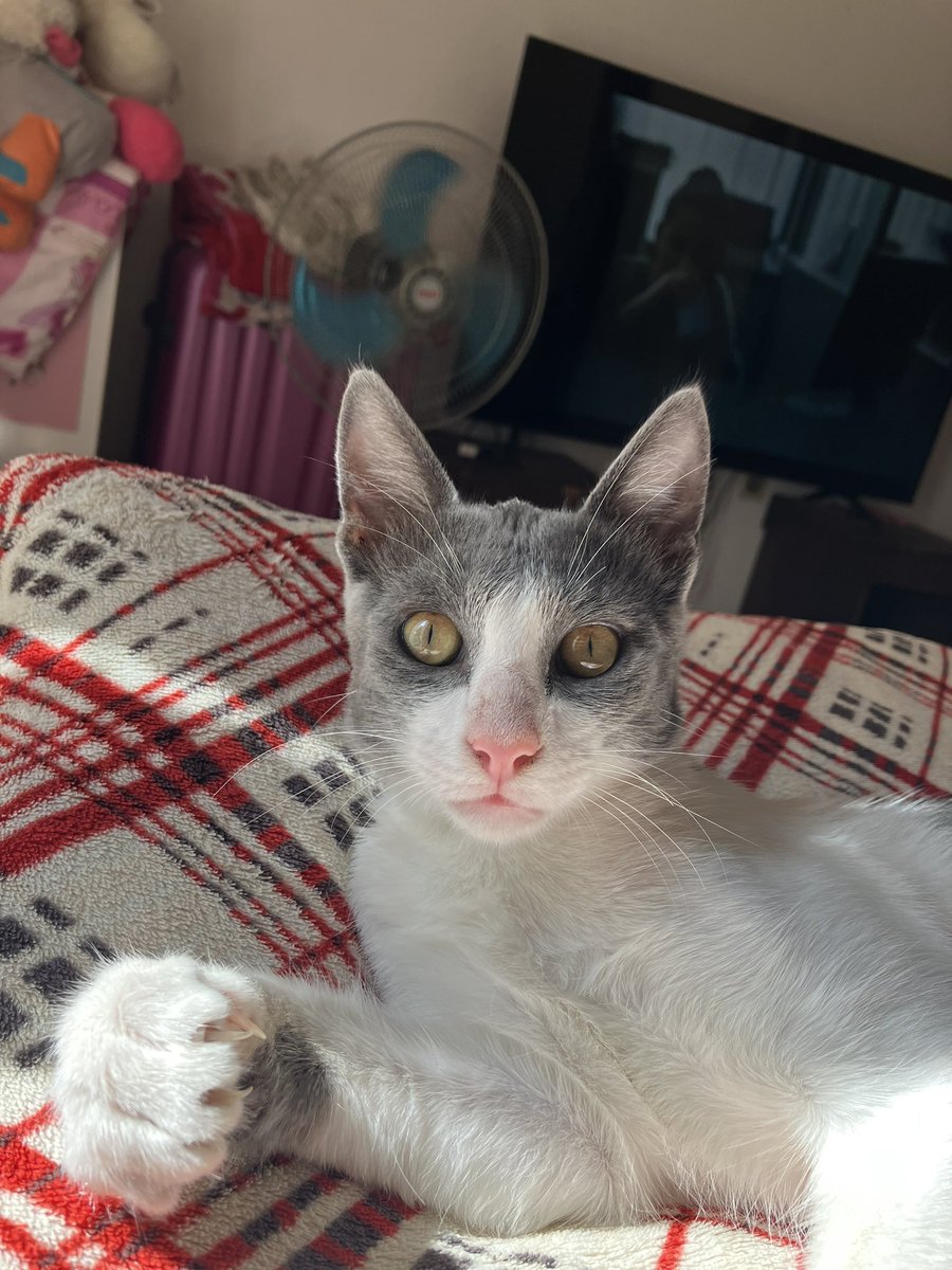 Que grandes que están nuestros bebés! @marurodgz 🥺❤️‍🩹