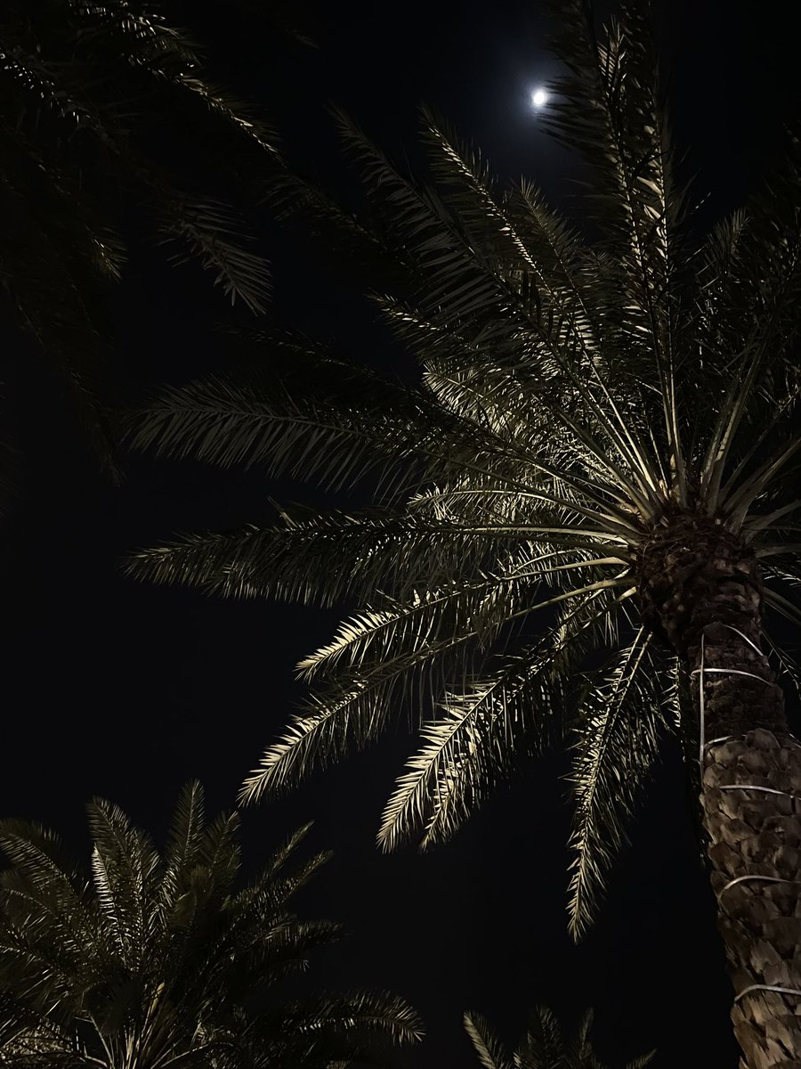 losha179's tweet photo. وأحب الليل لأنك قمره وضيّه.. https://t.co/t0ttq2T6j0