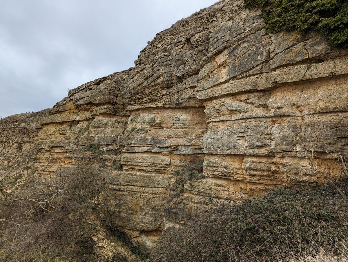 GroundwaterMike's tweet photo. But mostly the Birdlip Limestone, here at Cleeve Hill, is lovely cross-bedded oolitic limestone, formed as dunes in tropical seas ~175 milion years ago #Geology #GeolyHoliday https://t.co/kRyLSmq6ei