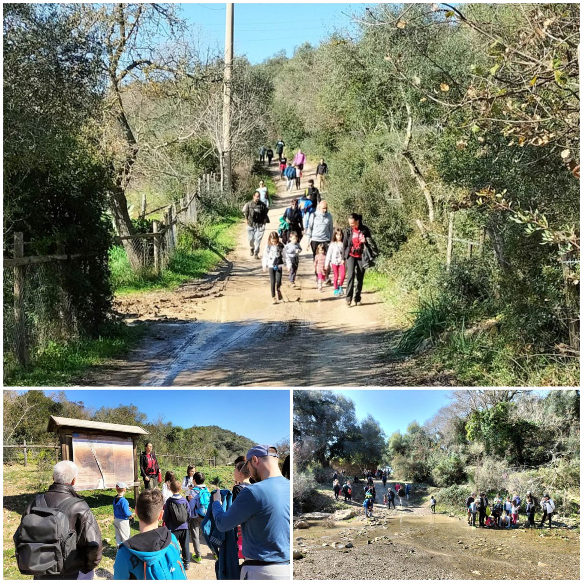 Birdwatch_Tolfa's tweet photo. Questa mattina con la #Prolococivitavecchia bellissima passeggiata aperta al pubblico nella Valle del fosso #Marangone, confine tra #Civitavecchia e #SantaMarinella (zona di protezione speciale della #retenatura2000) Osservati Nibbio reale, Poiana, tritone e scorpione 😍 https://t.co/bucH8Cd04J