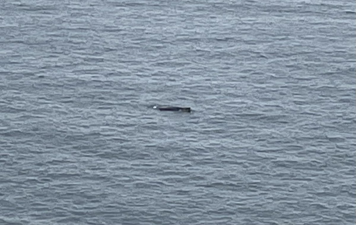 Ebb&Flow Holiday Home Cornwall tweet media