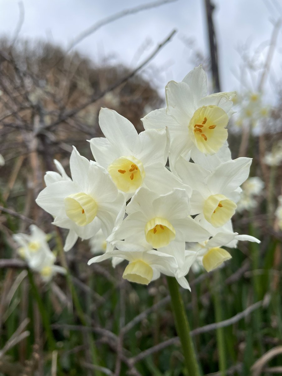 Ebb&Flow Holiday Home Cornwall tweet media