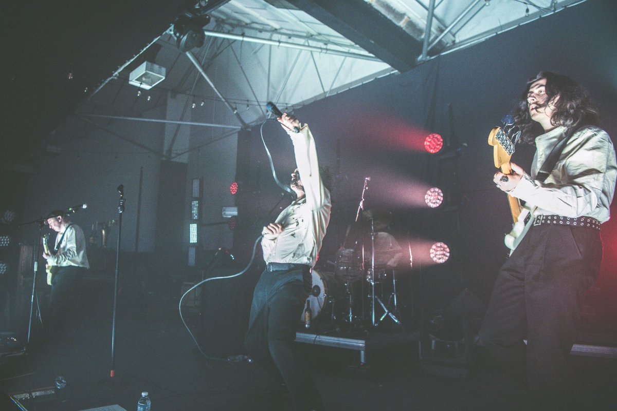 THE NOVUS tweet media