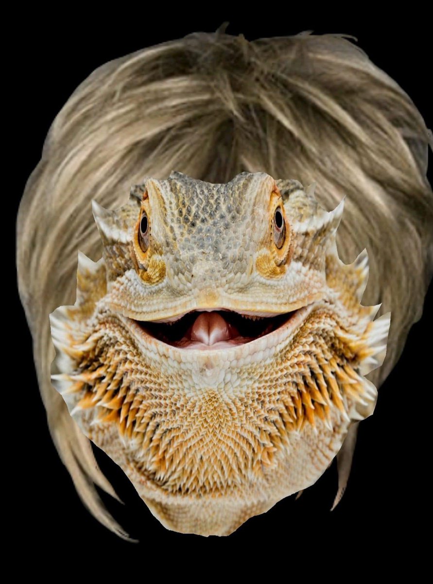 I asked for bugs and you gave me salad. I’d like to speak to a manager.