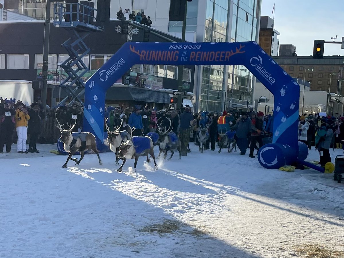 RD_Alaska's tweet photo. Yesterday’s ceremonial start to the #Iditarod was exciting, but the @OfficialRondyAK #RunWithTheReindeer is a great Anchorage tradition too! @1065KWHL #LetItSnowLetItReindeer #HaveYouHerdAboutThis?! https://t.co/k43TstX8m8