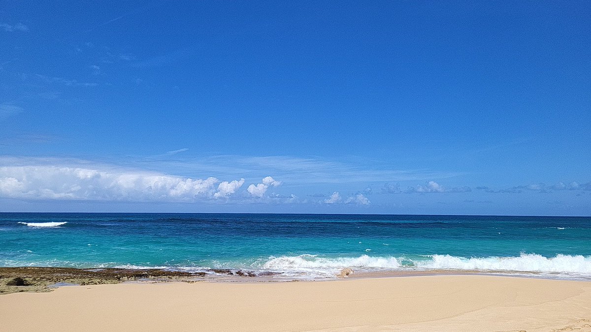 _Maileen's tweet photo. #PuertoRico 🇵🇷💙💚

#naturelovers https://t.co/MmJxzbv05j