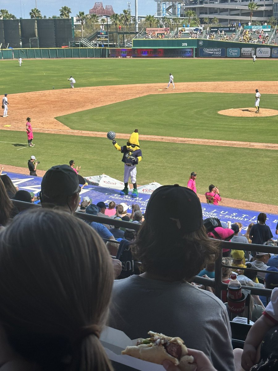 Stephen Shiring tweet media