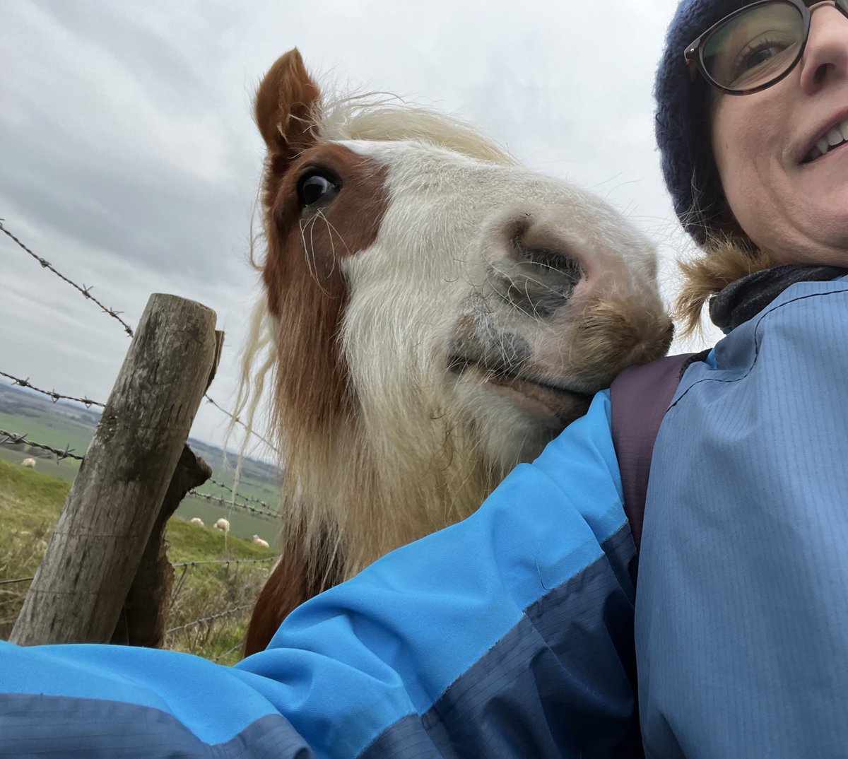 Tinylittle1's tweet photo. Horsing around on The Ridgeway today! Another big #rtts2023 training walk with @JohnnyD87968172
I’m fundraising for the @BF_NHS #WayForwardAppeal @GWH_NHS 

https://t.co/pFpQfoomFG
#walk #swindon #Wiltshire #wellbeing #nhs #charity #fundraising https://t.co/g9HJB5ah2I