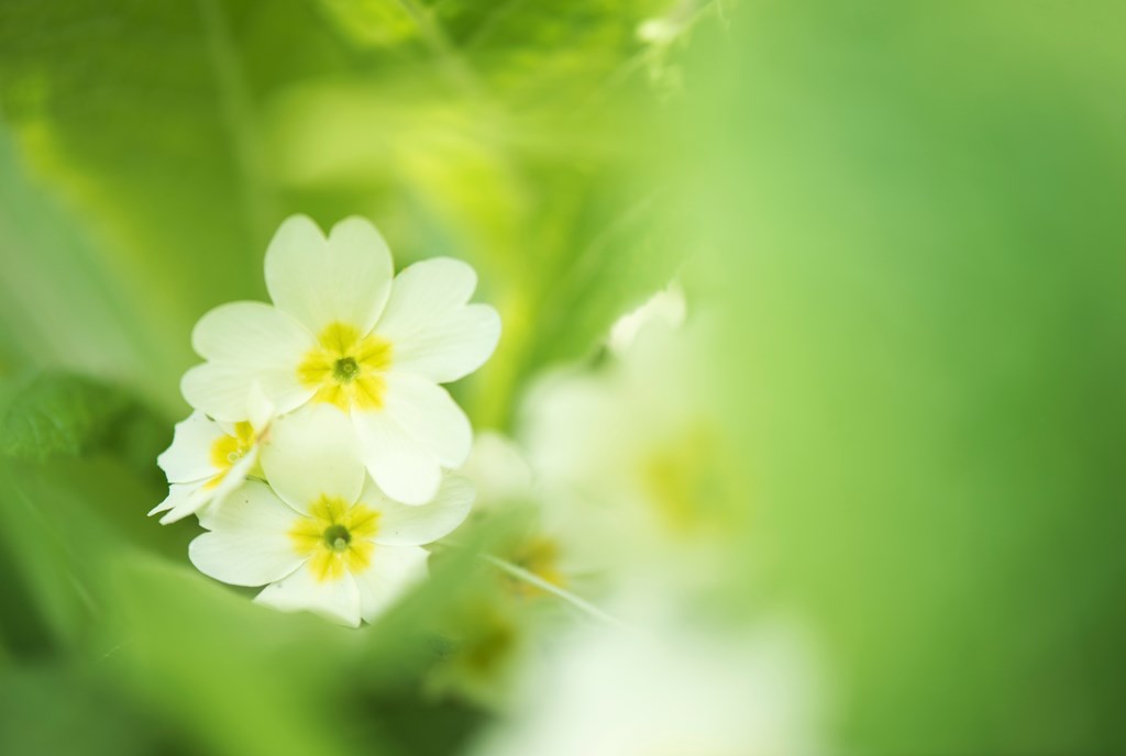 It’s the first weekend of March, spring is just around the corner.

Did you spend any time in nature, soaking up the bird song &amp; finding new flowers that bring bright colour to the end of winter? 🌸 

We would love to see your most colourful photo from the weekend 👇
