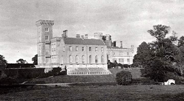 Wilton Castle, Bree was burnt down on this day in 1923. It had been home to the Alcock family Photos: National Library of Ireland
