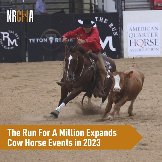 RunMillion tweet picture