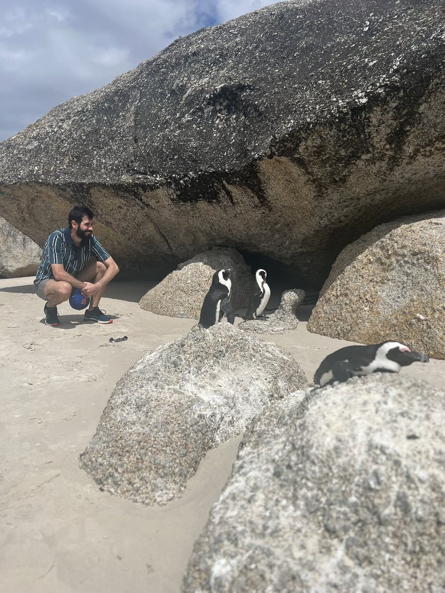 FcoTamarit's tweet photo. Totsiens 🇿🇦👋 https://t.co/fLWs530rLT