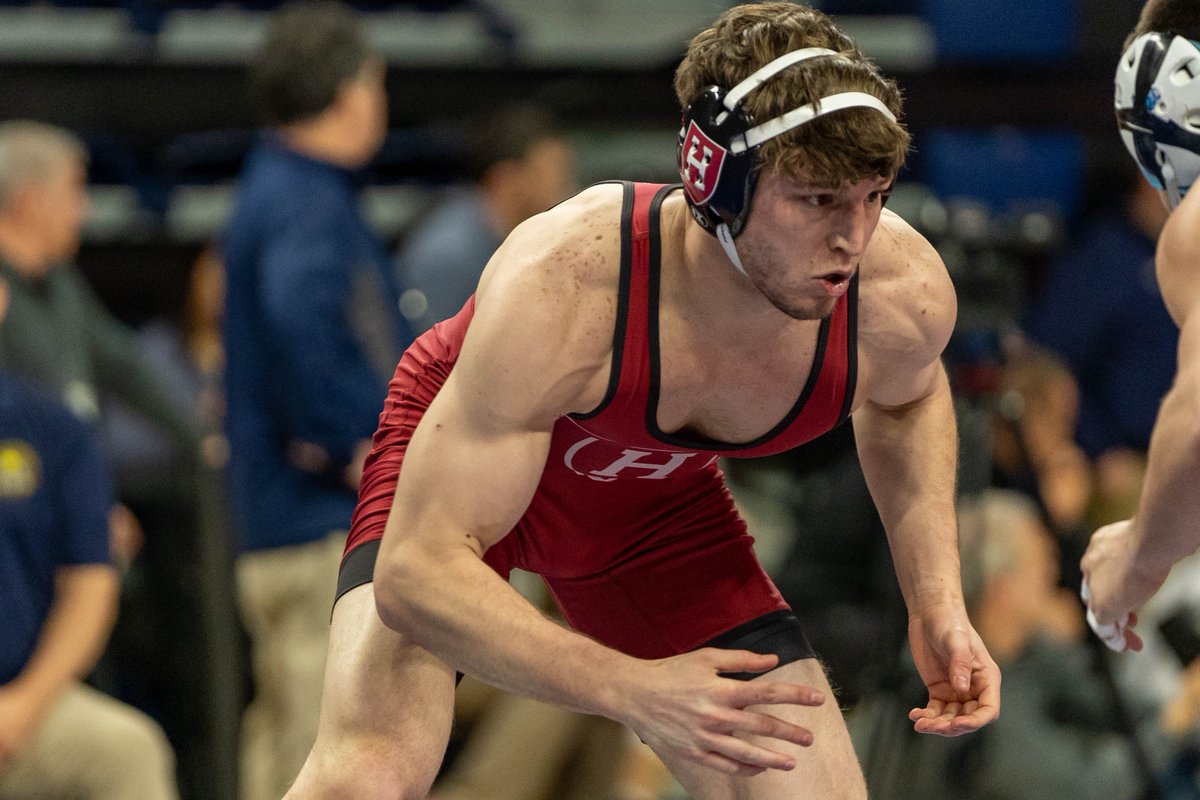 Harvard Wrestling tweet media