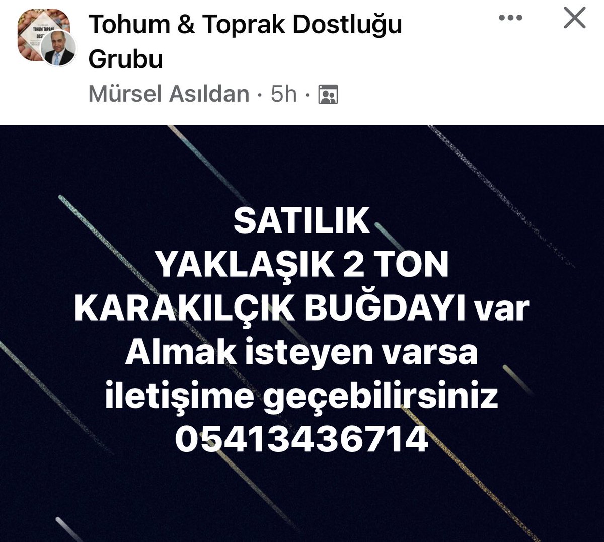 aylin (@aylinkalan) on Twitter photo 