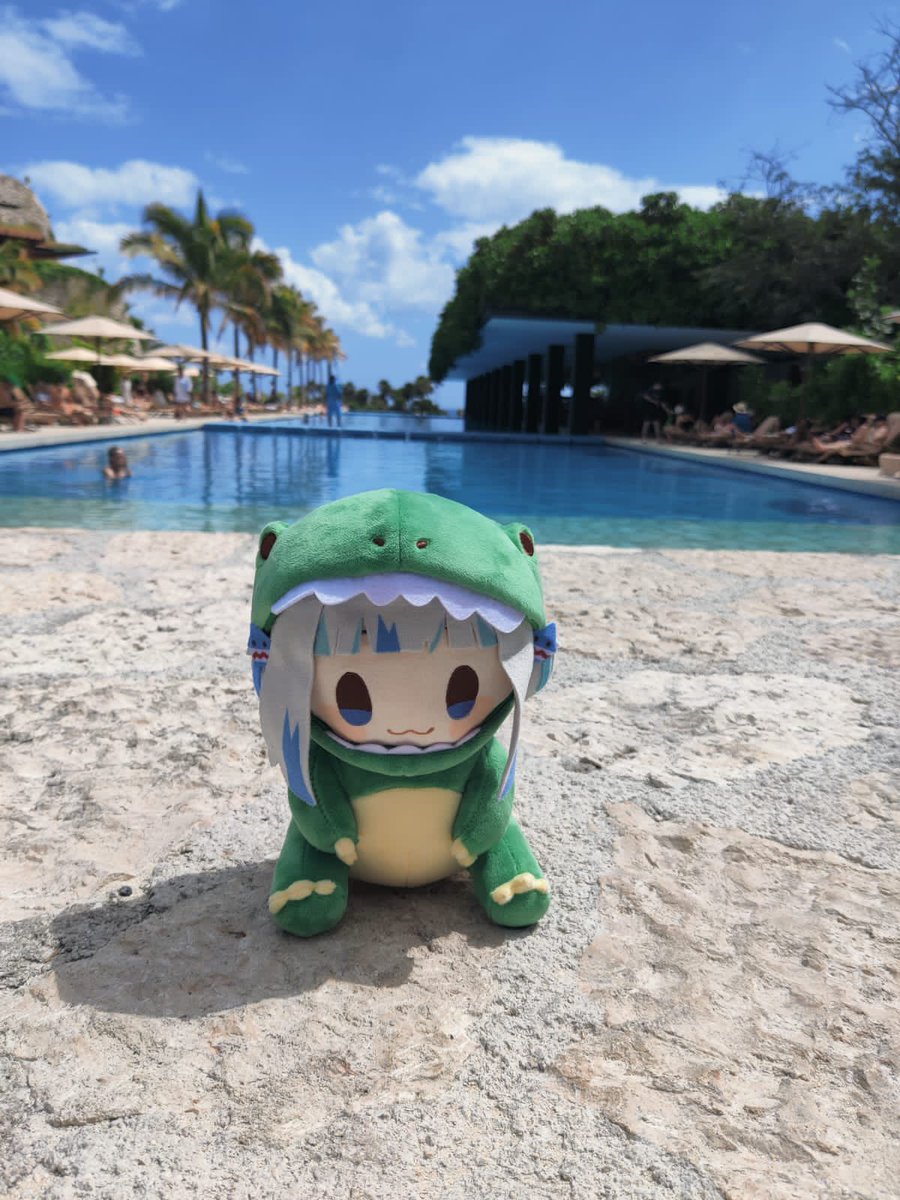 Dovo Master tweet media