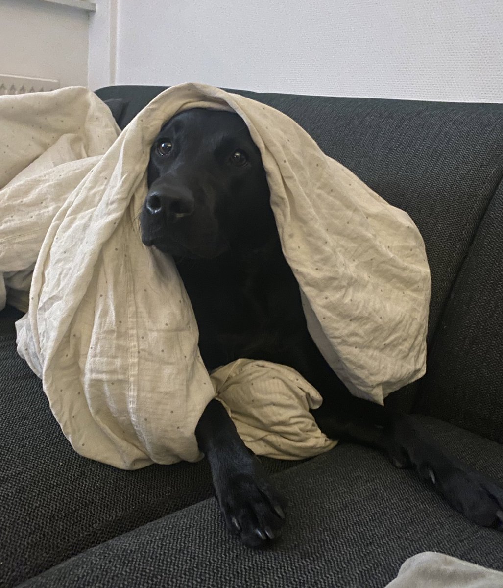 FRiiKKE (@friiikke) on Twitter photo 