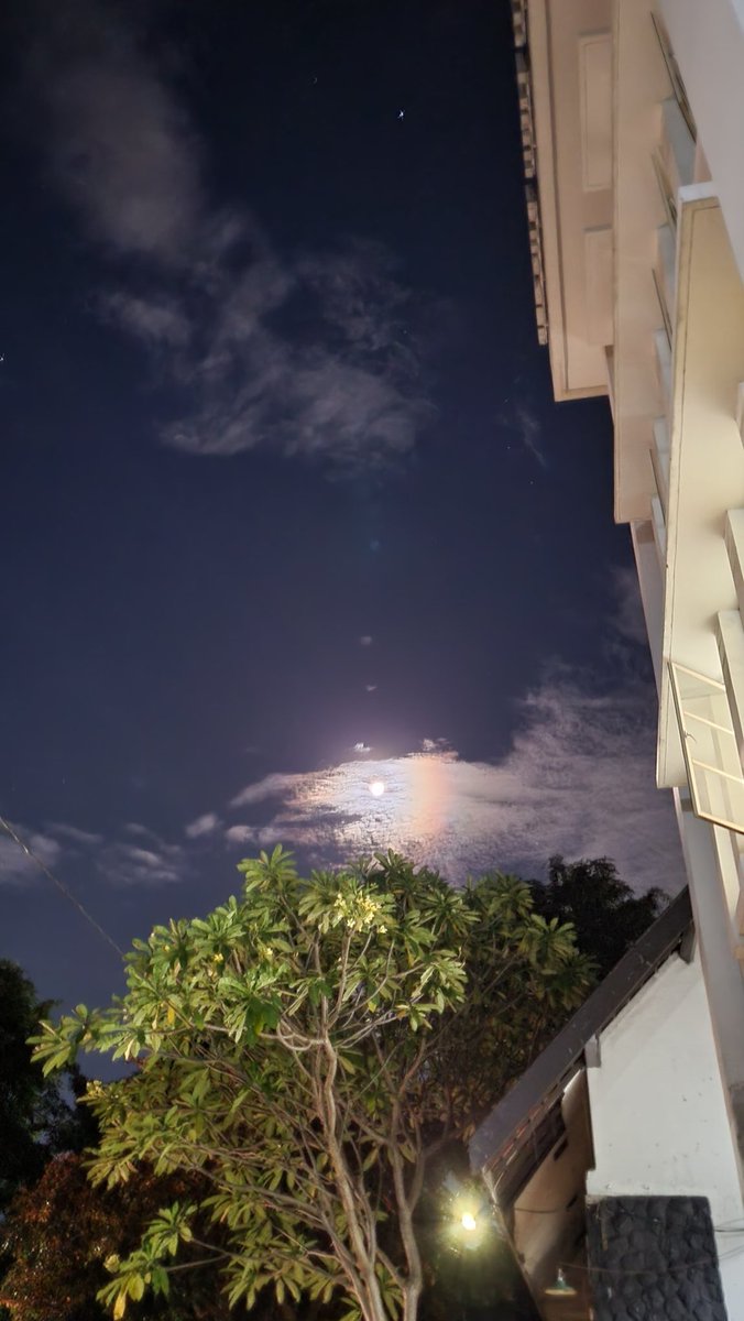 Marr🧘♀️ tweet media