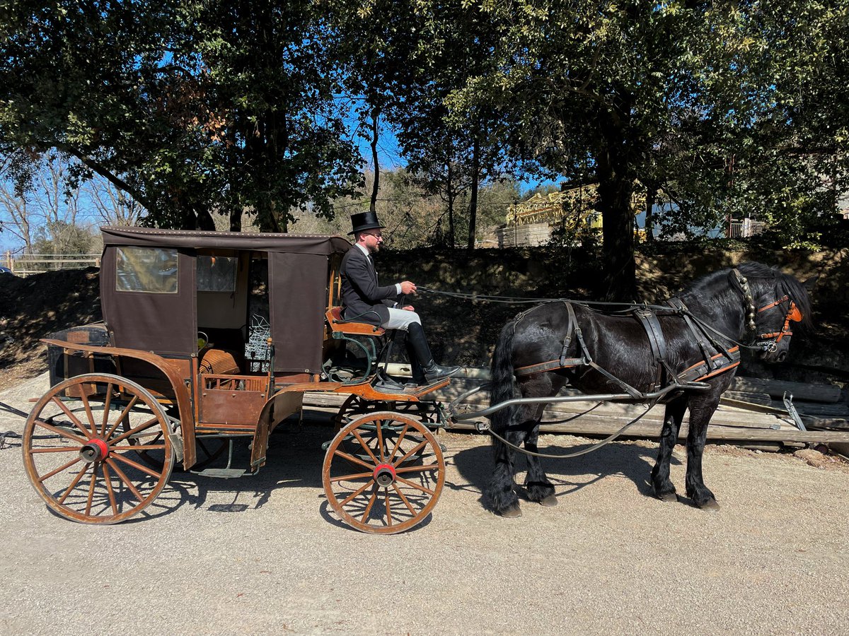 GilVilarrasaMas's tweet photo. I avui hem tret el cavall, el carro i el barret de copa a passejar! 🐎🎩
#Tonis #TresTombs #SMB https://t.co/wnpDro3YKh