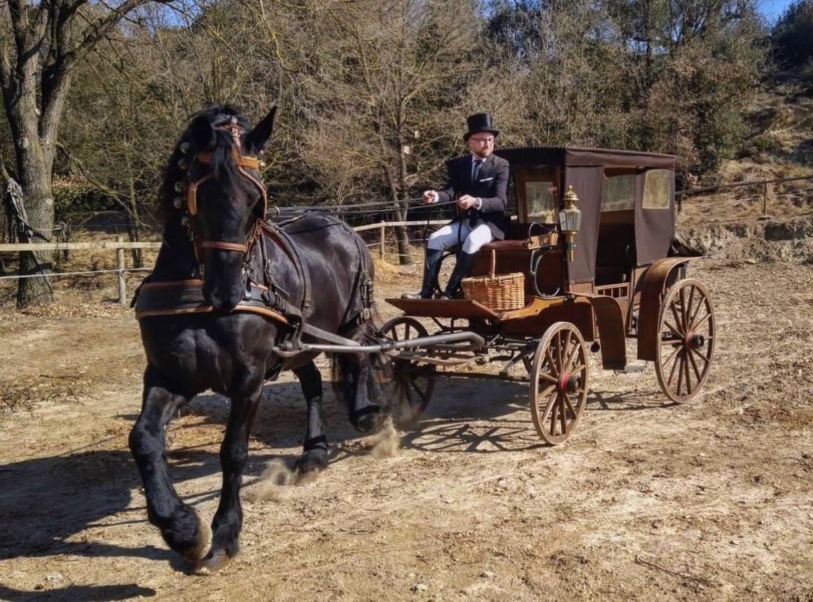 GilVilarrasaMas's tweet photo. I avui hem tret el cavall, el carro i el barret de copa a passejar! 🐎🎩
#Tonis #TresTombs #SMB https://t.co/wnpDro3YKh