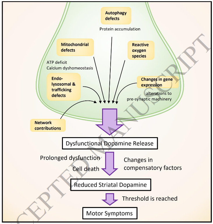 The Science of Parkinson's tweet media