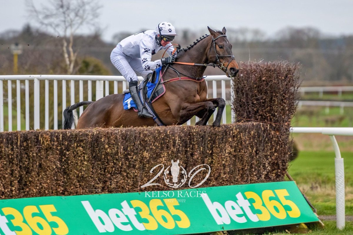 DomandLouis's tweet photo. What a fun day we had @KelsoRacecourse yesterday our boy #BollingerandKrug winning the last given a great ride by @DerekFoxJockey #friendliestracecourse #twoblacklabs #woofwoof @bet365 @chamberlinsport https://t.co/H1VqkorD2m