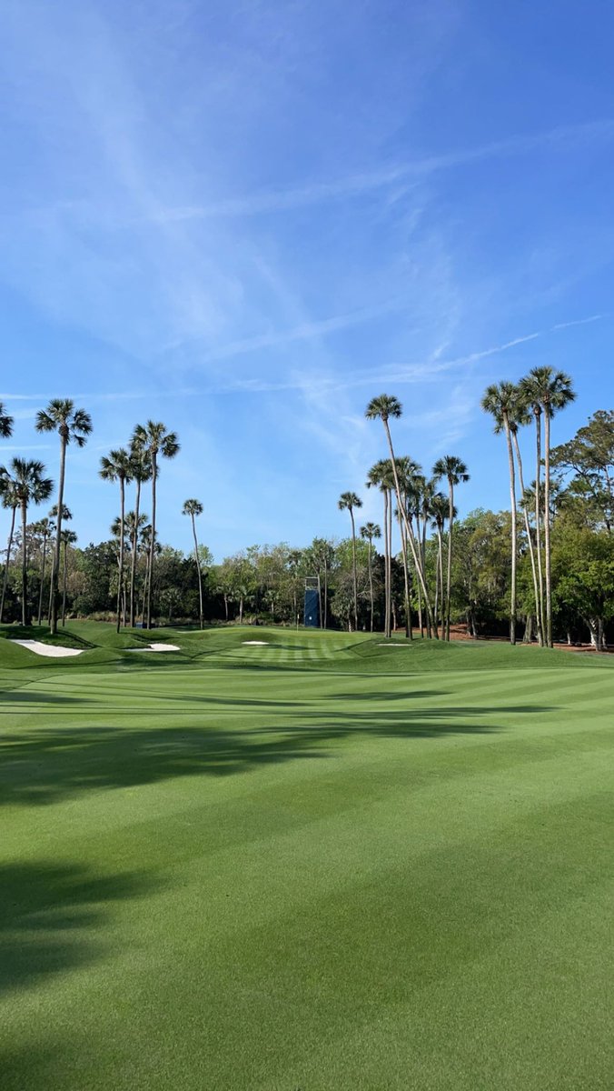 Let the fun begin! <a href="/TPCSawgrass/">TPC Sawgrass</a> @THEPLAYERSChamp <a href="/PGATOURAgronomy/">PGA TOUR Agronomy</a> #hole6