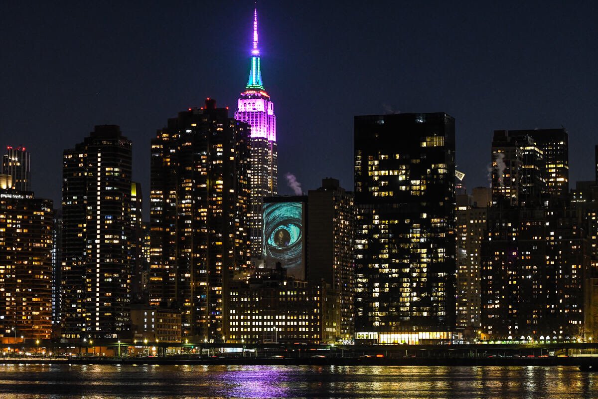 Veronica Frank tweet media