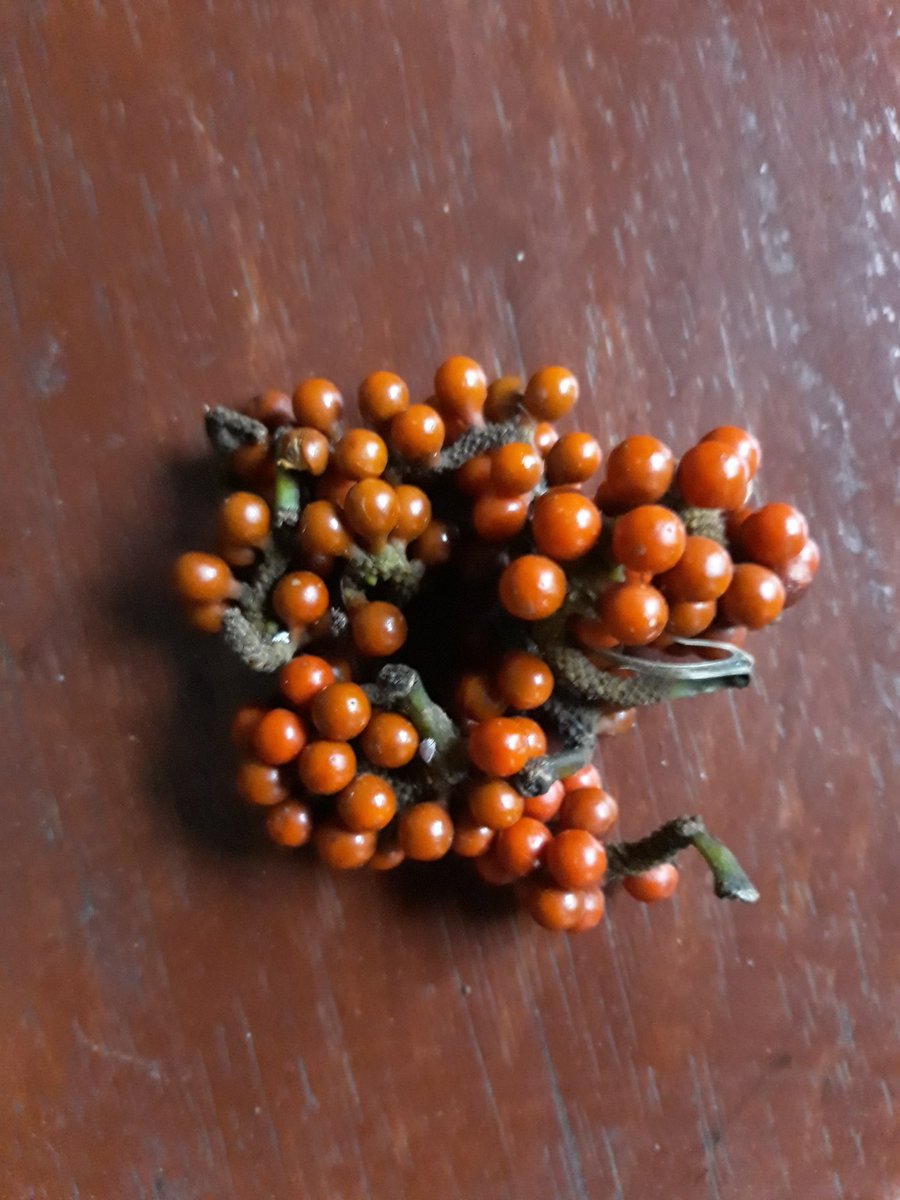 Benjamin Barca tweet media