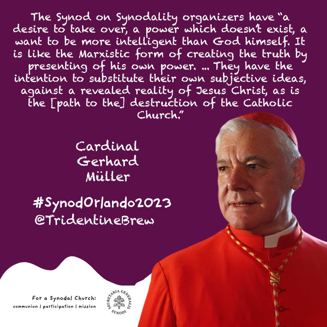 Cardinal Gerhard Müller on the Synodality on Synodality. ⬇️ 

#ListeningChurch #SynodalerWeg #Synod #WalkingTogether @Synod_va
