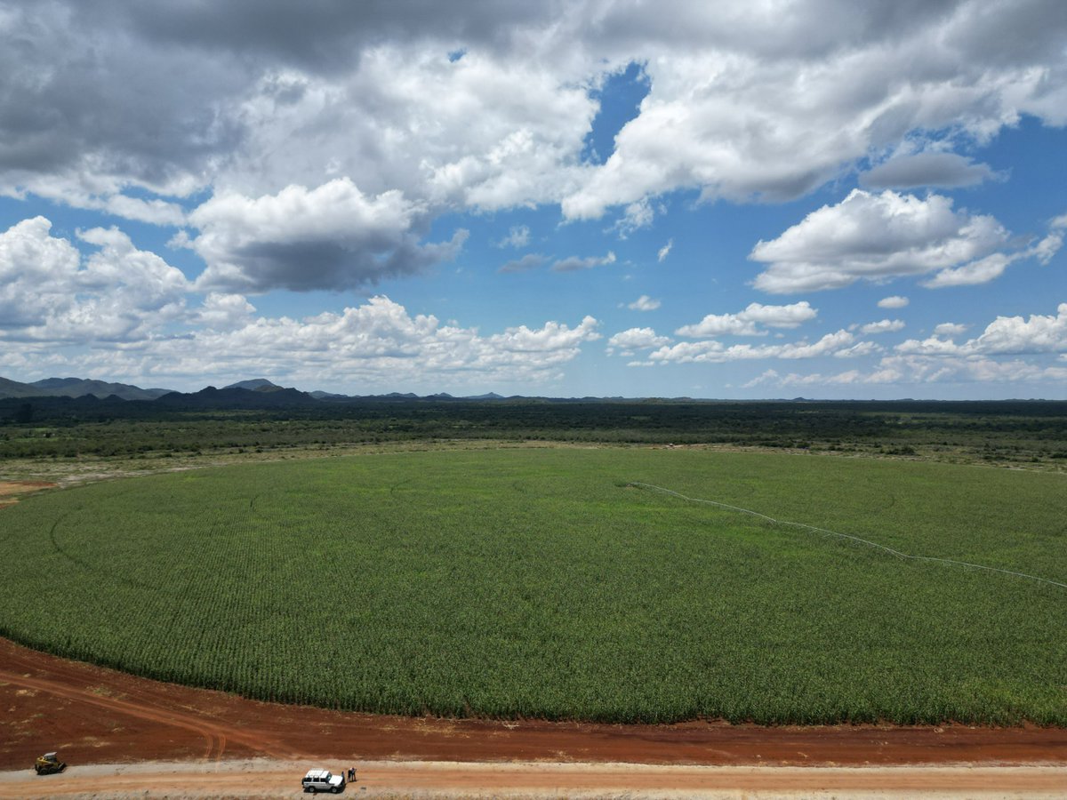 Os drones nos permitem ter uma prespectiva diferente de nós mesmo. Impressiona ver o trabalho árduo na fazenda Chaungo para conseguir plantar os 4 pivôs de multiplicação de semente de milho a partir de vista aérea... Há um país que se transforma e positivamente cresce. <a href="/yoba_ao/">Jardins da Yoba</a>