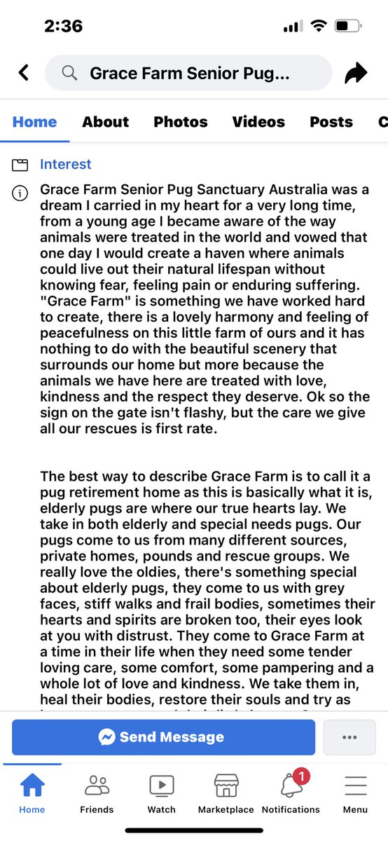 BSBNana's tweet photo. @vincentdonofrio Oh Vincent, you had no idea that today a dear friend passed from Cancer! Andrea left behind a legacy of rescuing senior pug dogs! 💔She also wrote books! I want the world to know about her 🔽#GraceFarm https://t.co/pKpuRTml7Z