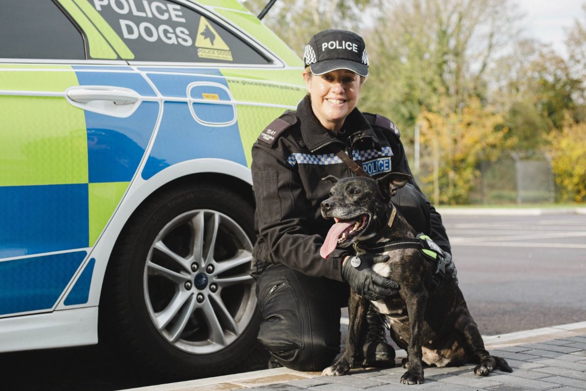 RPD2025STELLA's tweet photo. A massive thank you for continuing to vote for me in the @Crufts Hero Dog Awards.  Mum &amp; I are overwhelmed with all your support.   The voting is open for another week until 4pm on the 12th March https://t.co/rfE32qTaQX 🐾🐾 https://t.co/Z8wEKTri68