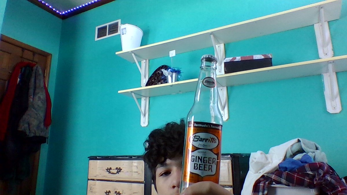 GINGER BEER not alcohol