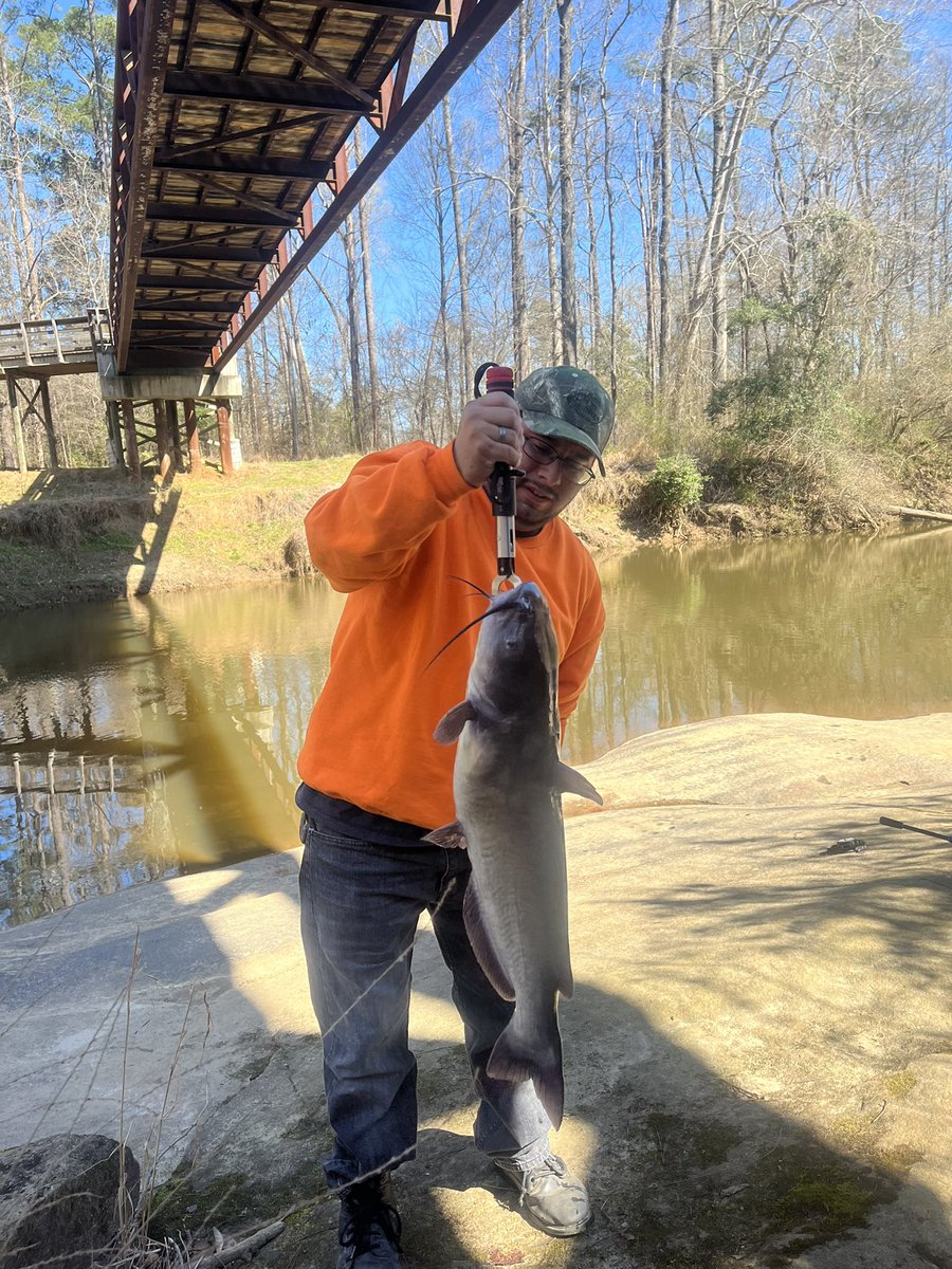 Miguelf330's tweet photo. Caught me a huge channel catfish today. 20.25 in and 11 lbs #fishing #catfish #angler #outdoors https://t.co/QRUaX5yZOM