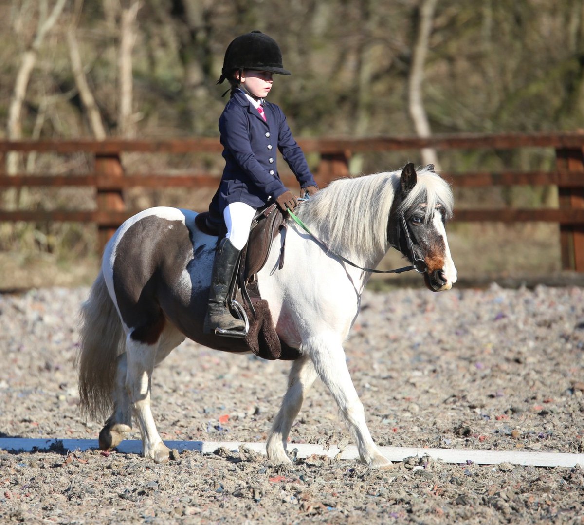 clairbear00's tweet photo. @BPS_MrsWhite Mya asked me to send you photo of her &amp; Angel at her competition yesterday x https://t.co/YOnR1aZKob