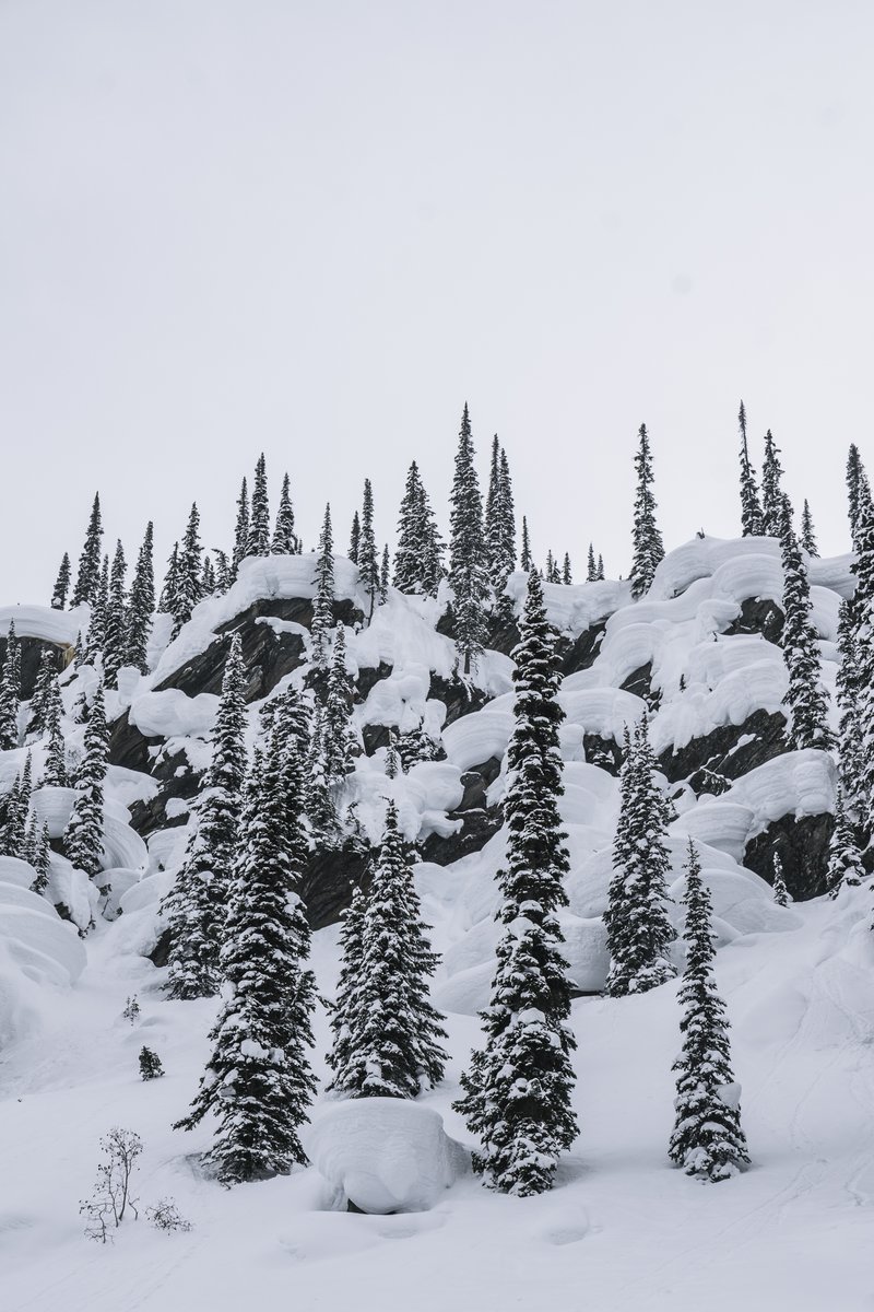 The YETI Natural Selection Revelstoke #snowboard contest is running tomorrow, Monday at 9AM PT/noon ET. The LIVE event is streaming at naturalselectiontour.com Just look at this venue!