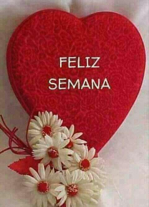 💫 En Unas Horas Iniciamos Una Nueva Semana les Auguro Mucha Salud y Éxitos 

<a href="/KeLBo35/">KeLBo</a> <a href="/RosnierAvilan/">✨💕rosnier avilan💕✨</a> <a href="/andrleon10/">Manuel Alejandro Andrade Leon - Manuelsoft</a> <a href="/DavidMG91/">David Medina</a> <a href="/KelvinJo20/">KelvinJo🤘</a>
<a href="/LeonardoGuanip5/">Dayana Chirinos</a> <a href="/IsabelTeresaSu3/">💫👼@teresa_isabel👼💫</a>  <a href="/Maricorazon65/">Mari SSM</a> <a href="/Yolimar40993672/">Yolimar</a> <a href="/pirela002/">pirela02 ☀️</a>
<a href="/nancy5014/">@nancy50</a>
#ChavezInfinito
<a href="/mairimharry1/">Soy Irreverente</a>

#YoSoyChavéz