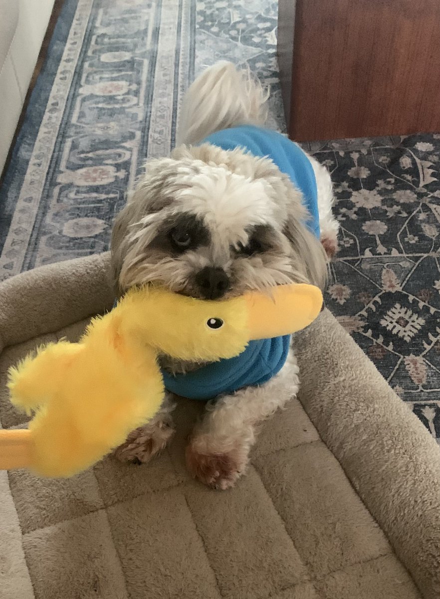 Murderer.