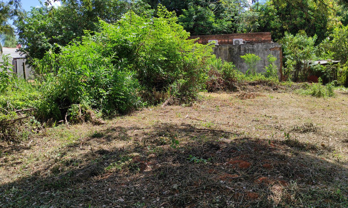 ElenNoguera's tweet photo. Pongo mi fe en las redes🙏✨
Queremos vender de suma urgencia dos Terrenos juntos ubicados en la zona de Capiatá Ruta 2 a 20 cuadras aprox de la Academia Militar Mcal Francisco S. Lopez.
Mi papá se encuentra hospitalizado en el HNI
sigue👇 https://t.co/Cak1HIftDK