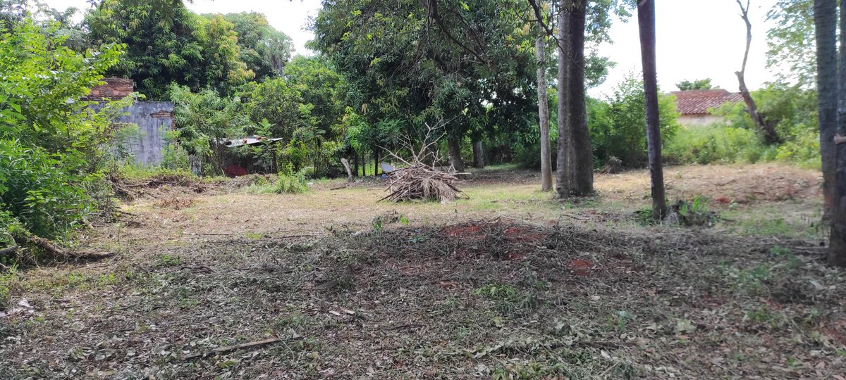 ElenNoguera's tweet photo. Pongo mi fe en las redes🙏✨
Queremos vender de suma urgencia dos Terrenos juntos ubicados en la zona de Capiatá Ruta 2 a 20 cuadras aprox de la Academia Militar Mcal Francisco S. Lopez.
Mi papá se encuentra hospitalizado en el HNI
sigue👇 https://t.co/Cak1HIftDK