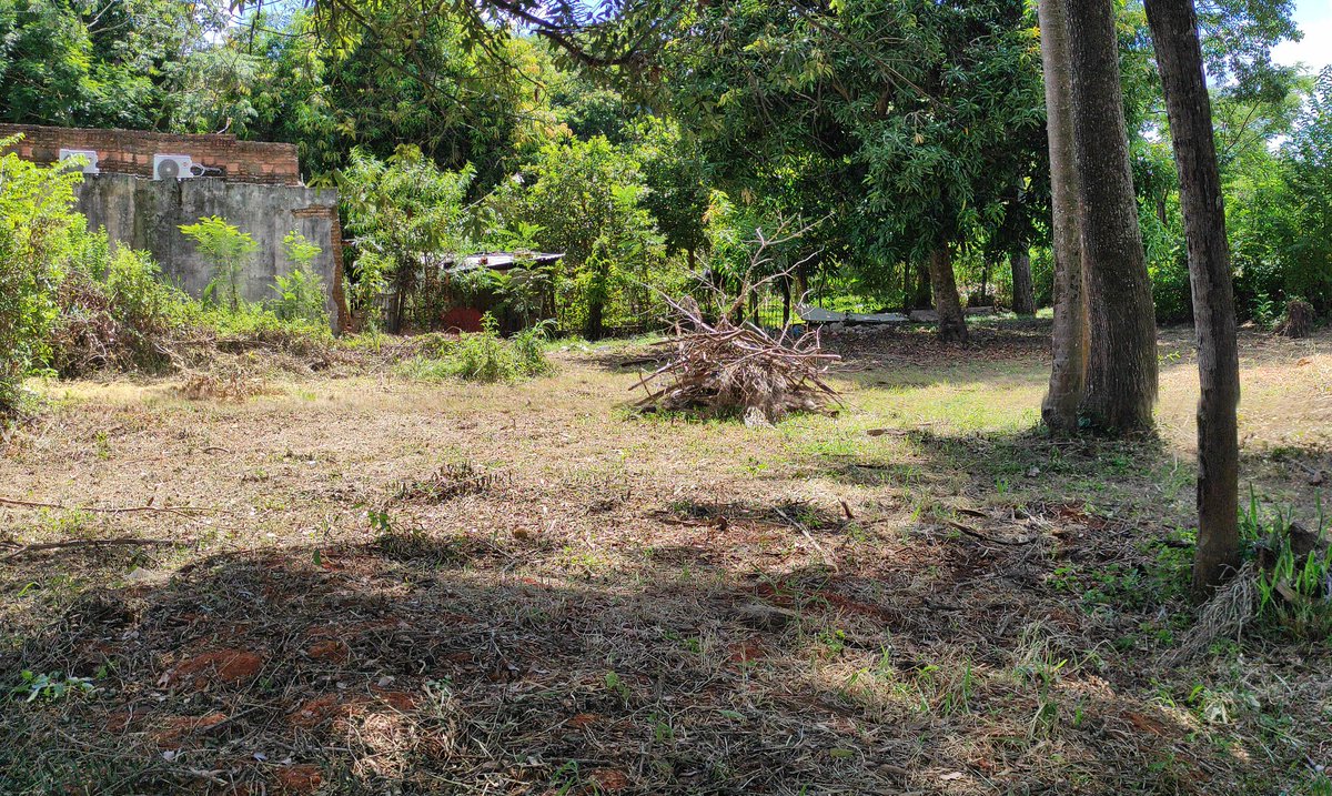 ElenNoguera's tweet photo. Pongo mi fe en las redes🙏✨
Queremos vender de suma urgencia dos Terrenos juntos ubicados en la zona de Capiatá Ruta 2 a 20 cuadras aprox de la Academia Militar Mcal Francisco S. Lopez.
Mi papá se encuentra hospitalizado en el HNI
sigue👇 https://t.co/Cak1HIftDK