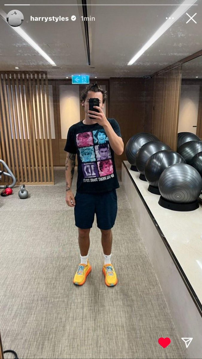 ELE APAGOU, CERTEZA QUE ERA PRA TER SIDO NOS CF, OBRIGADA HARRY POR ESSE MIMO