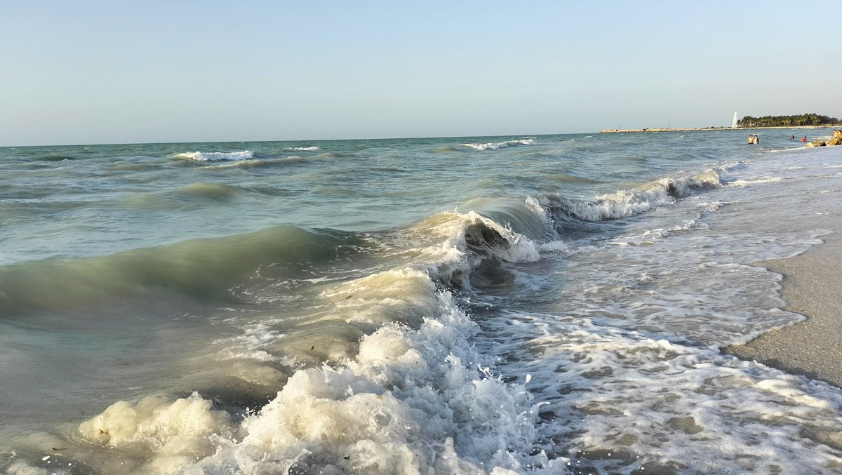 SamTraviesa's tweet photo. Me encanta el mar 🌊💖

#photography #sensuality #tattoogirl #mybodyisart #onlyfangirl #onlyfanlatina #onlyfansgirls  #onlyfansFree❤️‍🔥🖤 https://t.co/nPXHcDojVM
